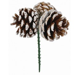 White Tip Triple Pinecone Pick - Case of 100 pcs